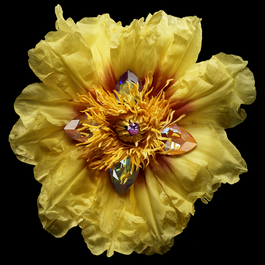 copyright Oriani & Origone - Swarovski – Book of Dreams