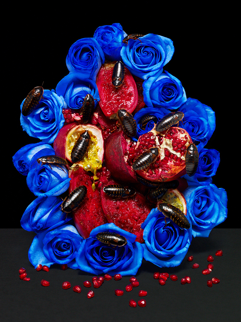 copyright Bela Borsodi - The Power and the Glory