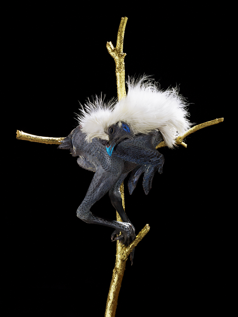 copyright Bela Borsodi - The Power and the Glory