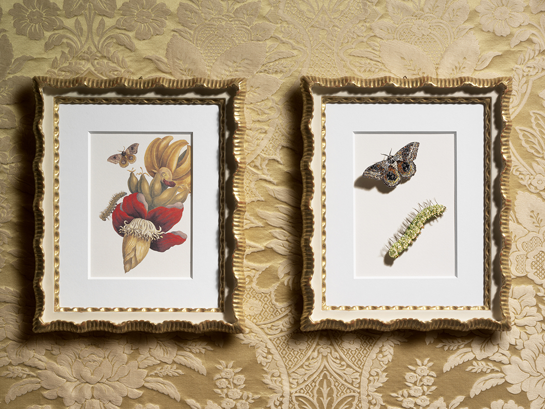 copyright Oriani & Origone - Swarovski – Book of Dreams