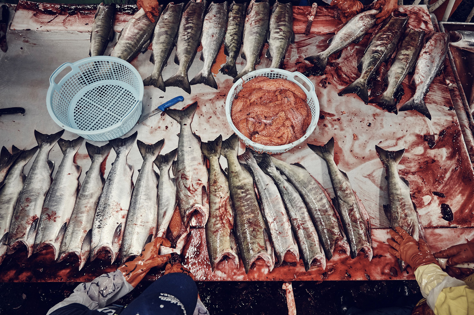 copyright Christian Grund - Alaska