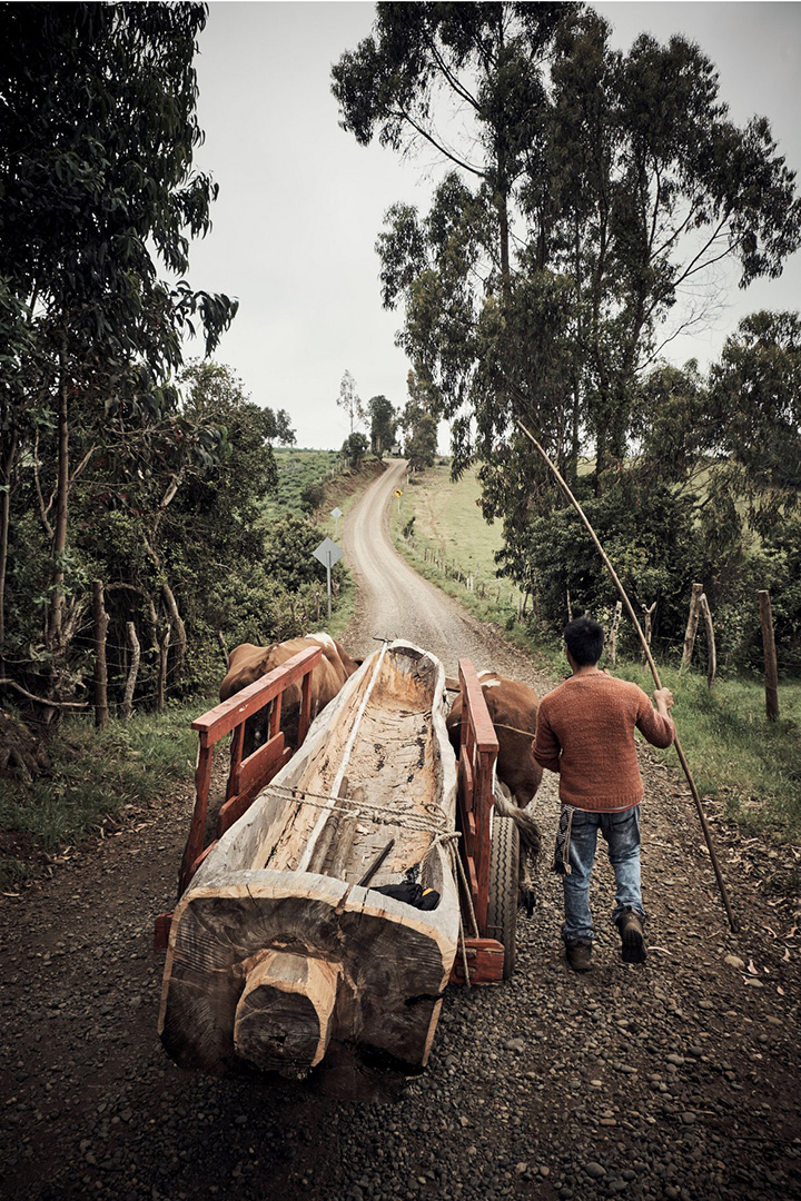 copyright Christian Grund - Chile