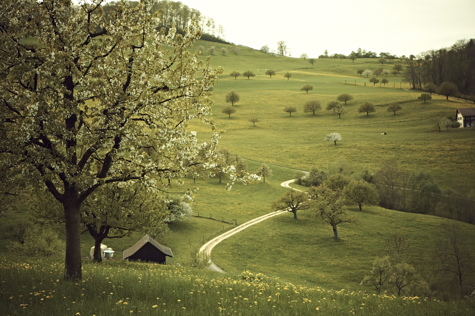 copyright Christian Grund - Landwirtschaft