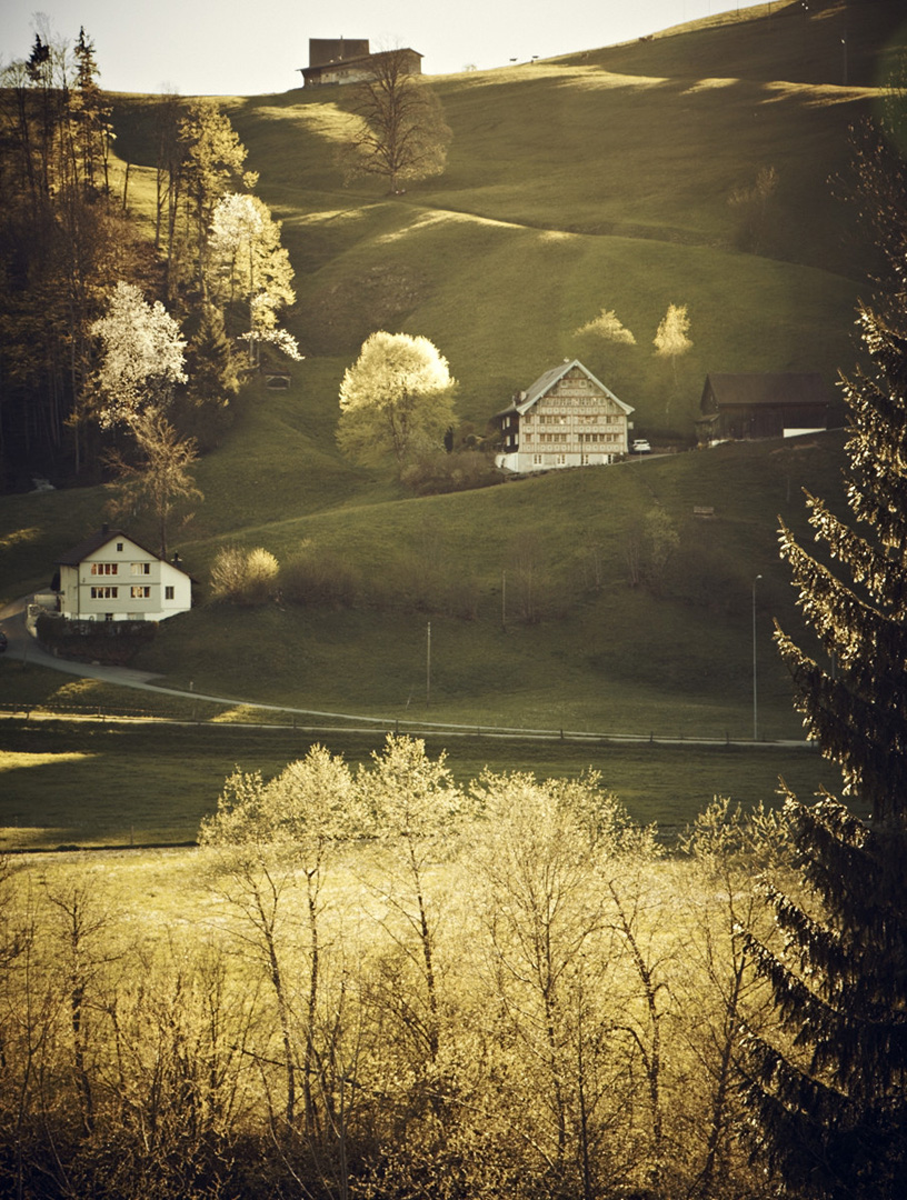 copyright Christian Grund -