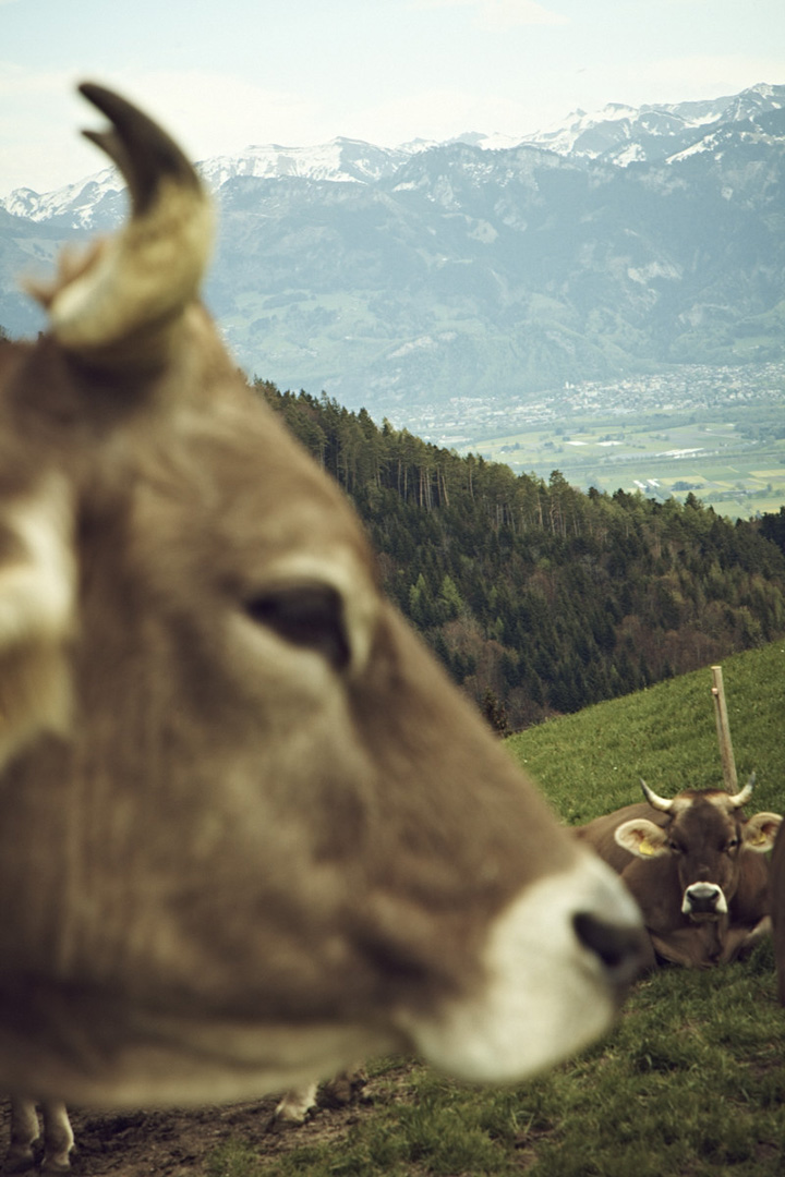 copyright Christian Grund -