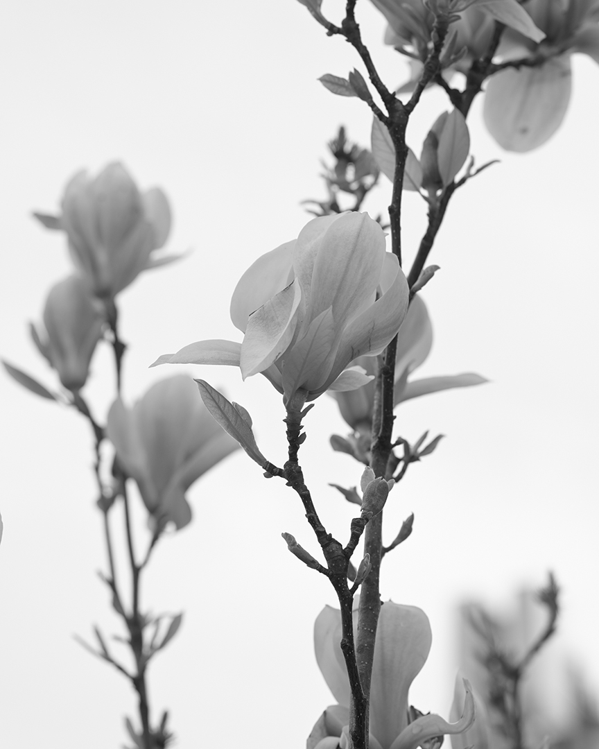 copyright Nadine Ottawa - Annabelle – London