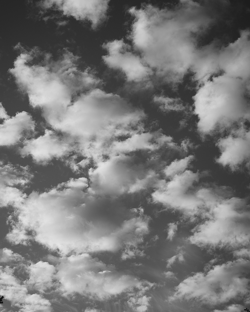 copyright Nadine Ottawa -