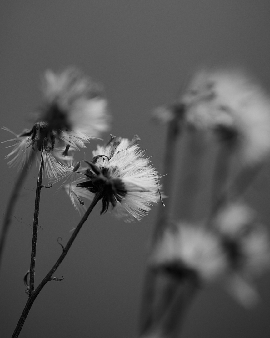 copyright Nadine Ottawa - Atlas Craft