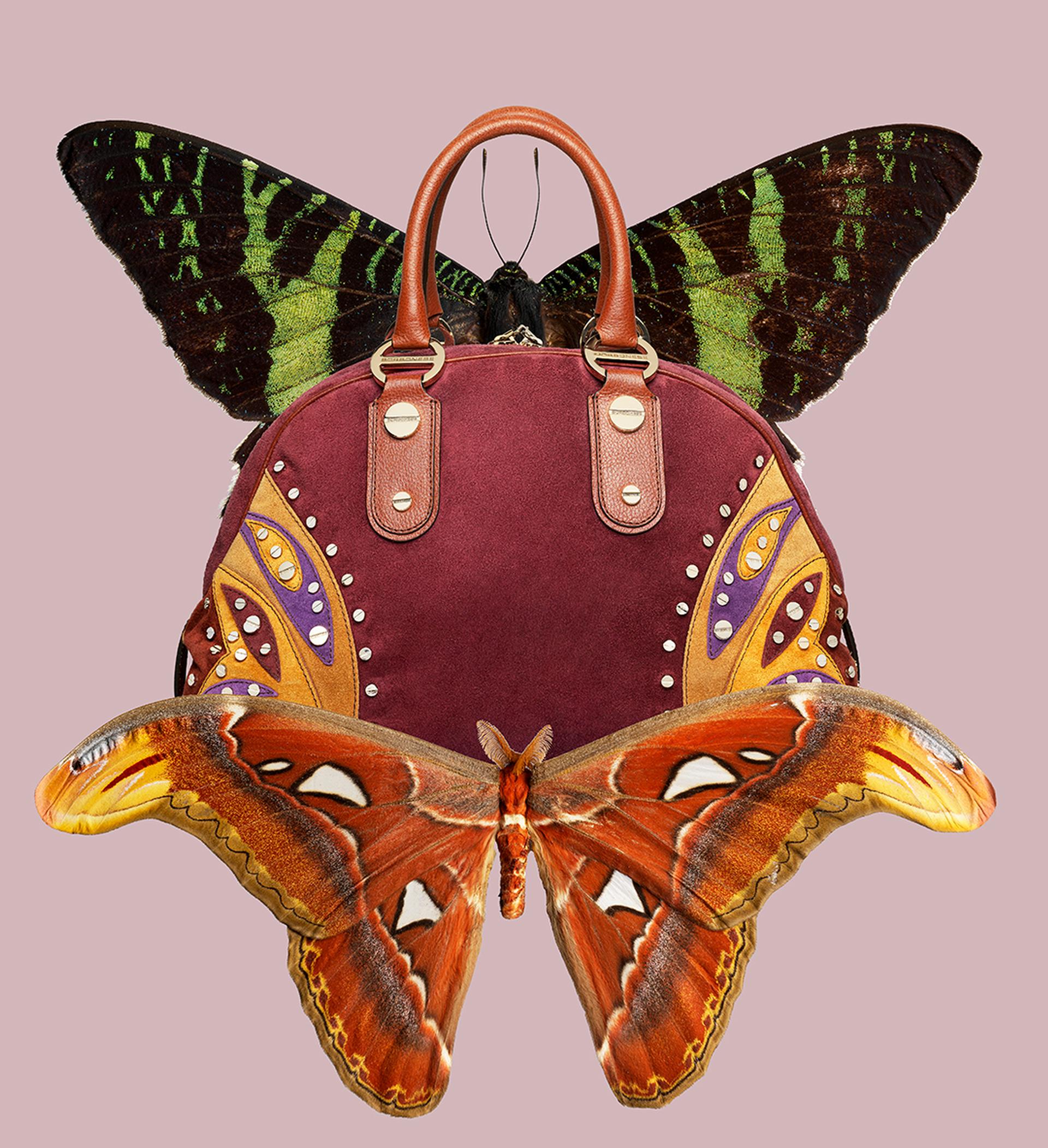 copyright Oriani & Origone - Borbonese