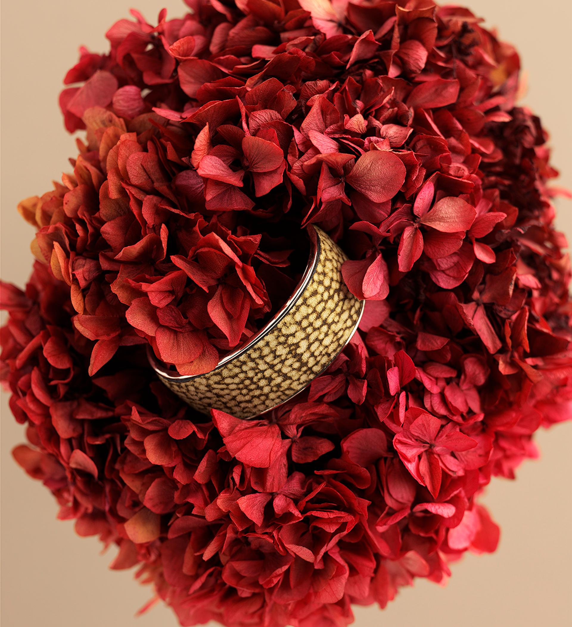 copyright Oriani & Origone - Borbonese