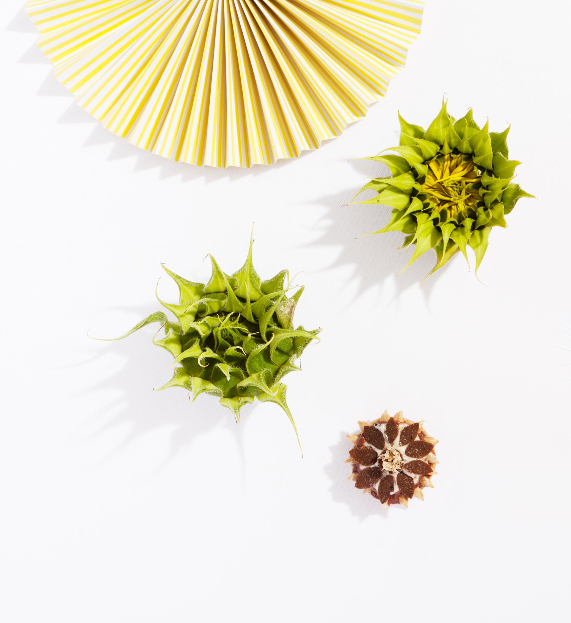 copyright Oriani & Origone - Andreas Caminada