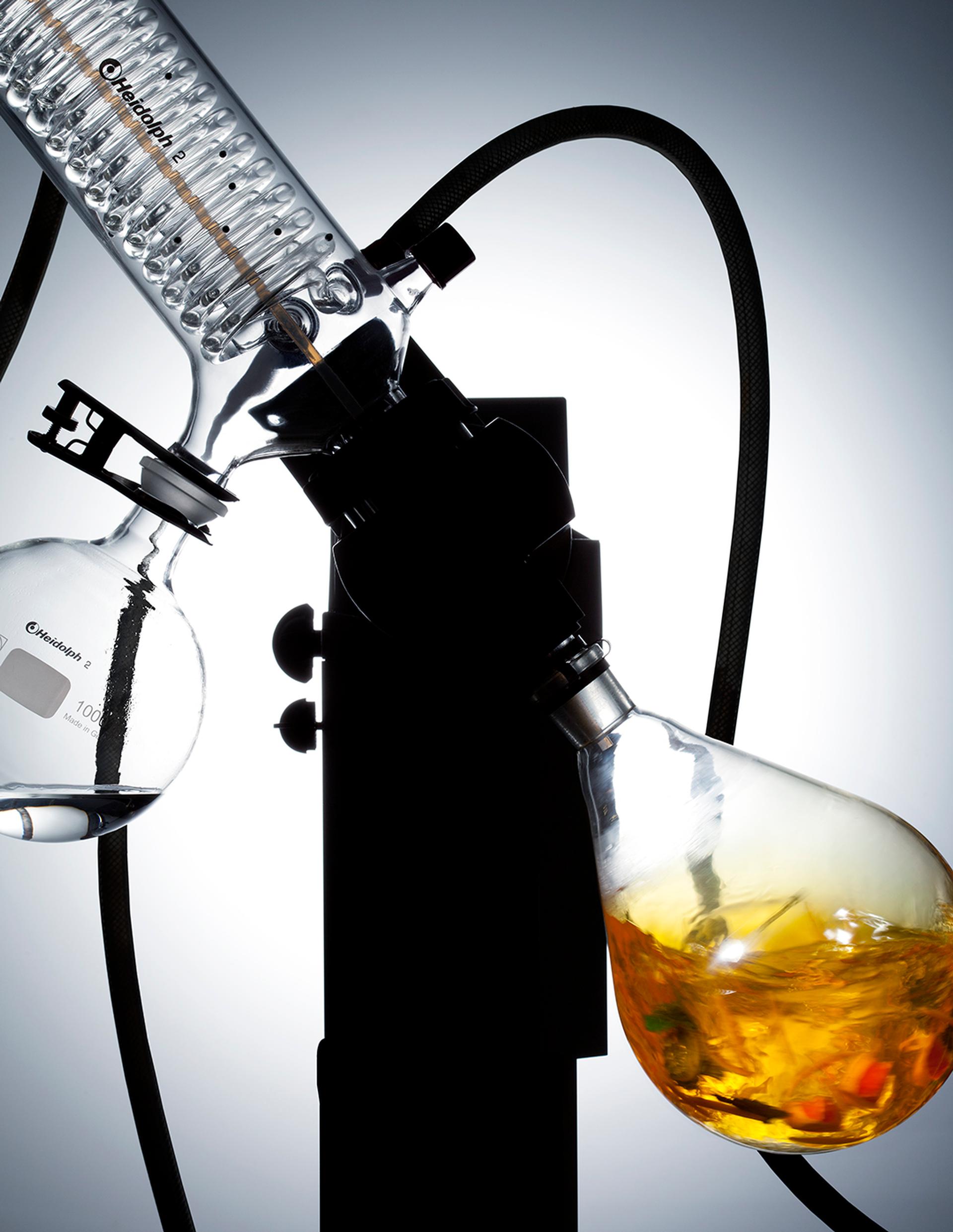 copyright Oriani & Origone -