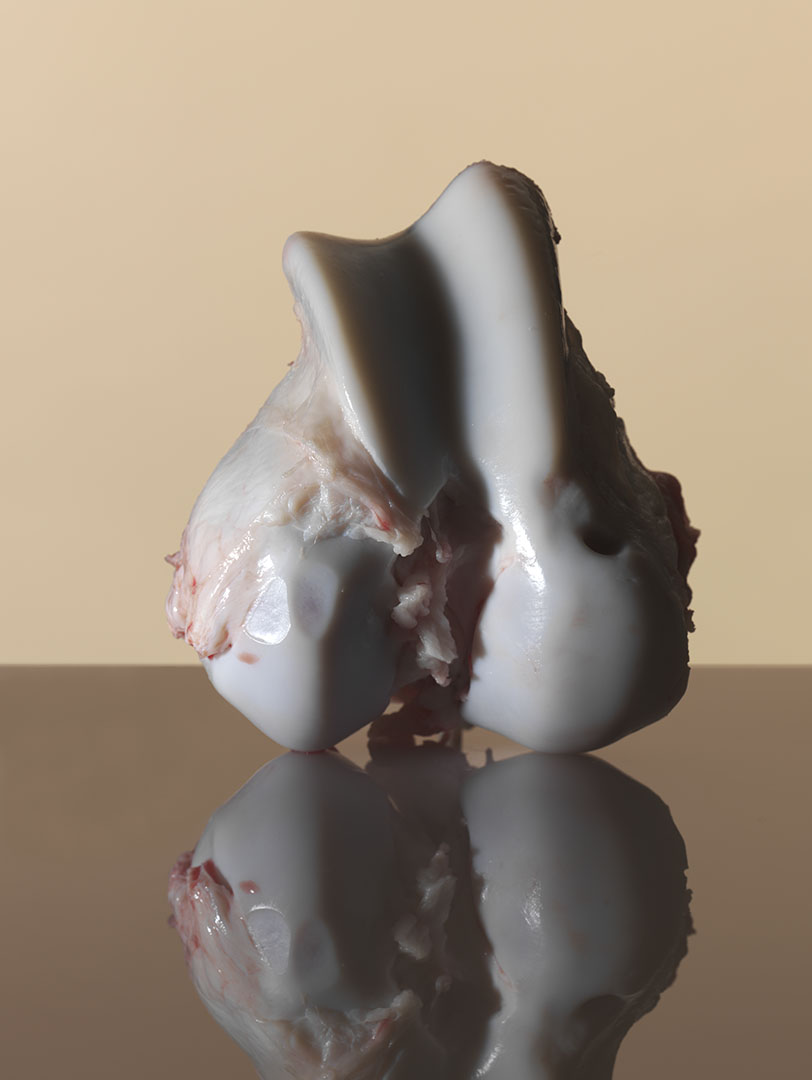 copyright Oriani & Origone - Food – Personal