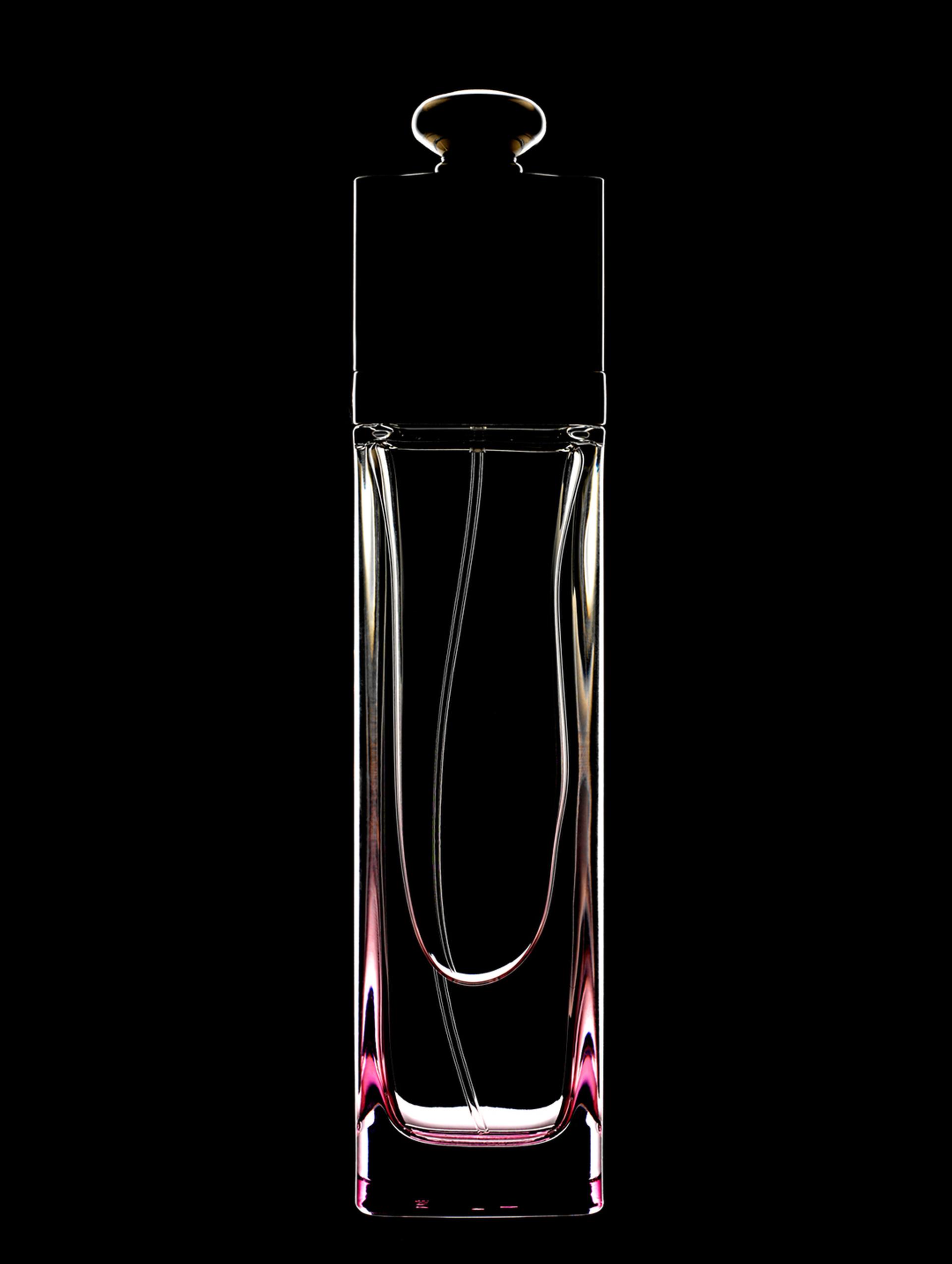 copyright Oriani & Origone -