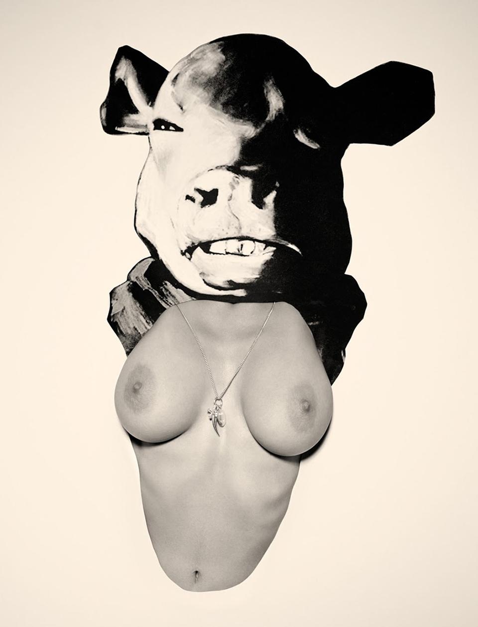 Copyright Bela Borsodi