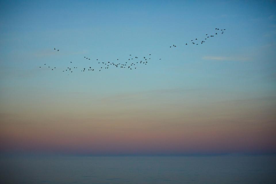Copyright Maurice Haas