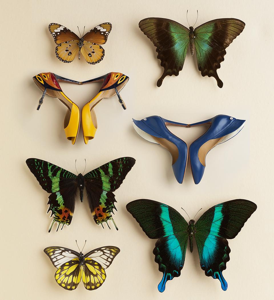 Copyright Oriani & Origone