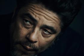 copyright Maurice Haas - Benicio del Toro