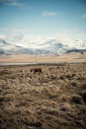 copyright Christian Grund - Island