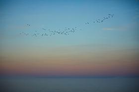 copyright Maurice Haas - Baikal – The Blue Miracle