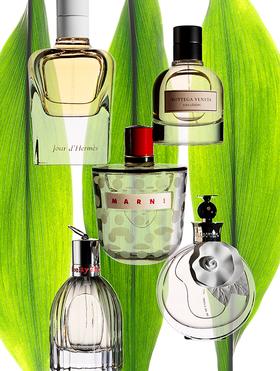 copyright Oriani & Origone - Perfumes