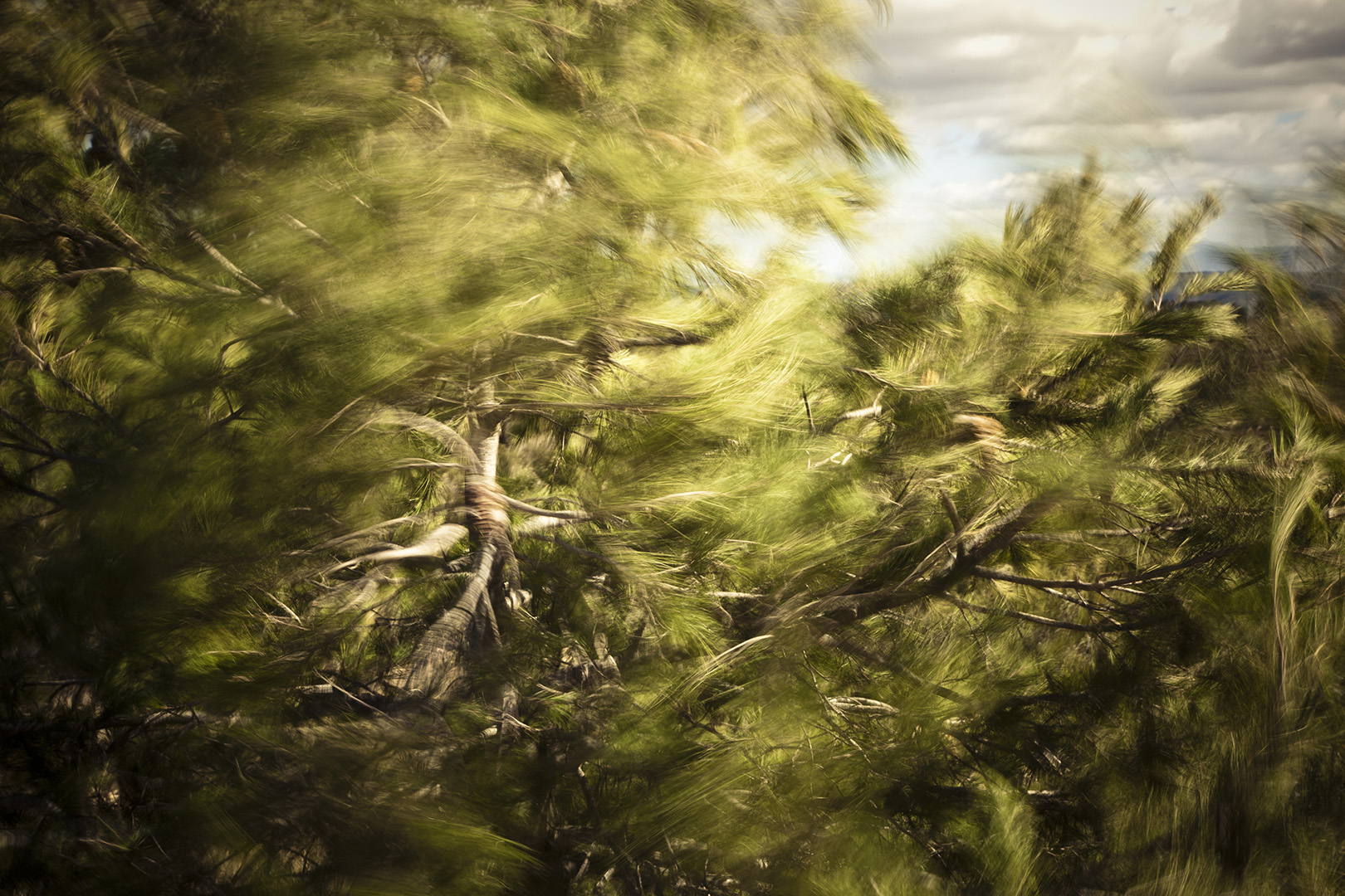 copyright Christian Grund - Spanien, La Mancha