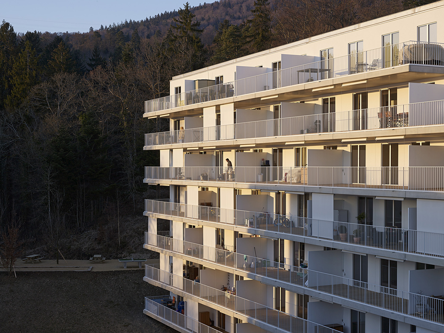 copyright Milo Keller - Frundgallina – Les Cadolles