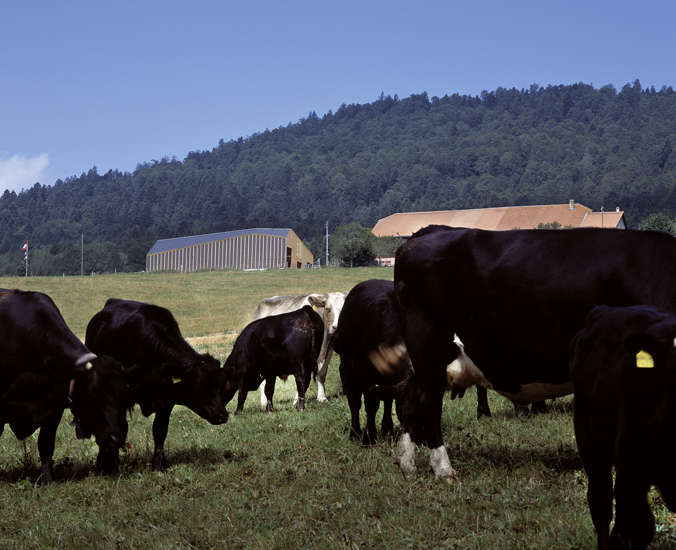 copyright Milo Keller - Localarchitecture – Stabulation