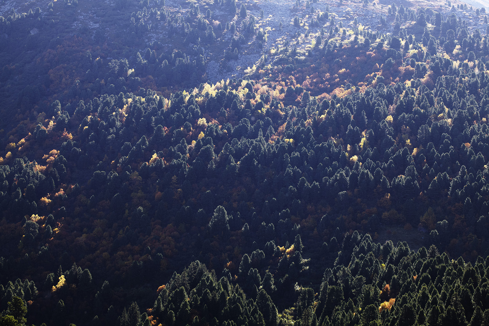 copyright Sylvan Müller - Reportage – KEA