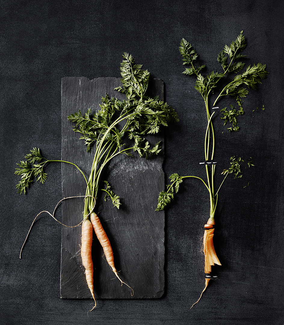 copyright Sylvan Müller - Leaf to Root