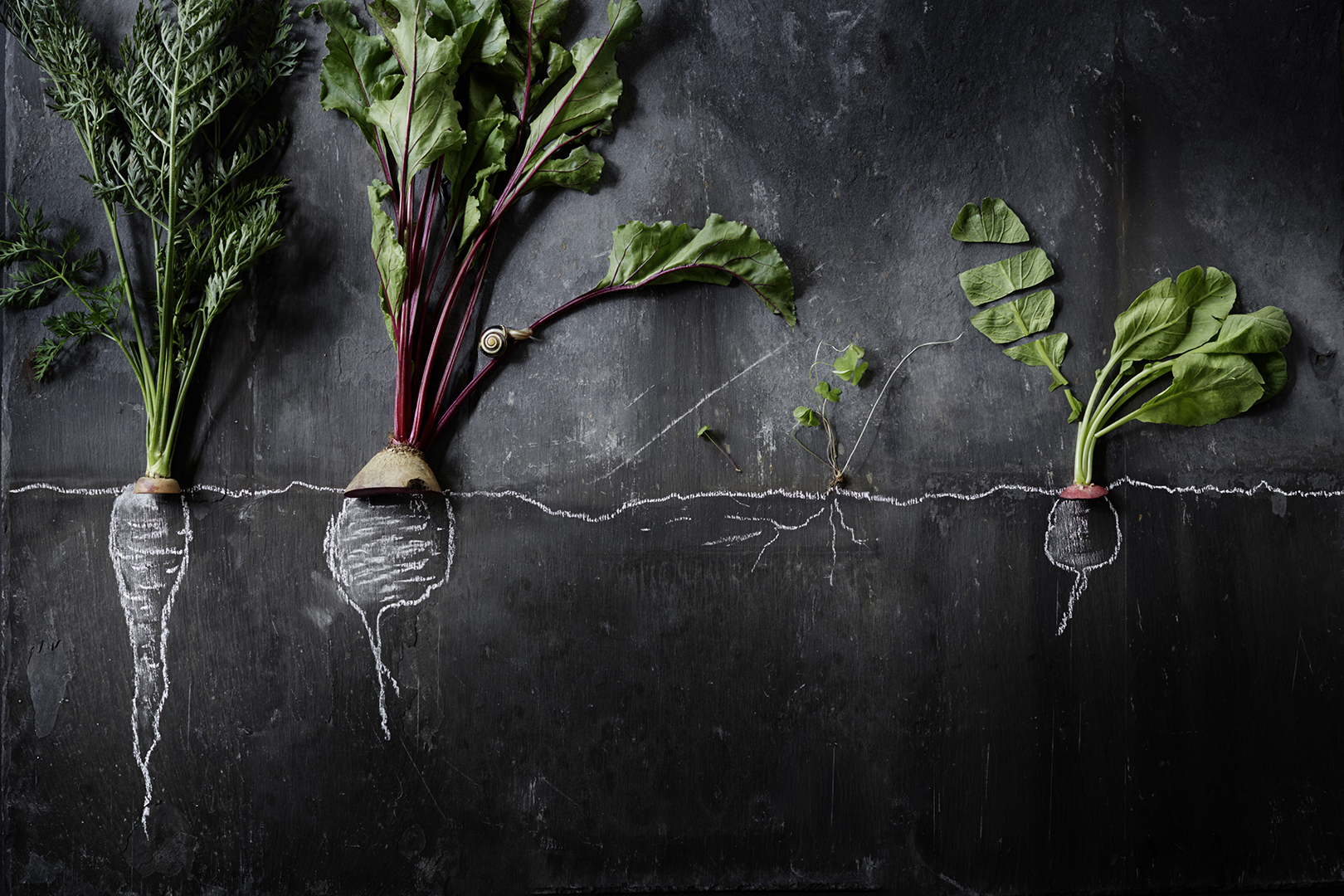 copyright Sylvan Müller - Leaf to Root