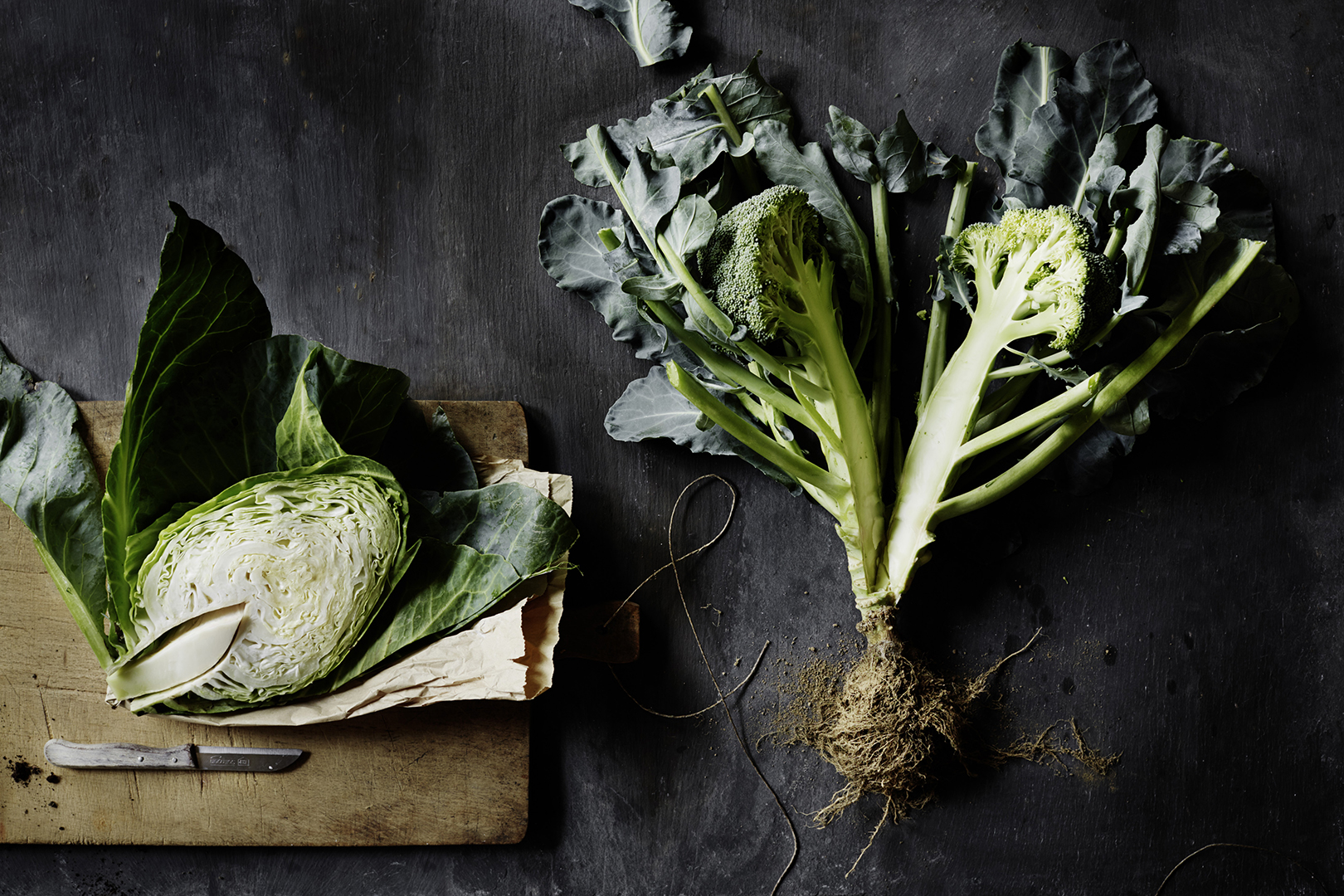 copyright Sylvan Müller - Leaf to Root