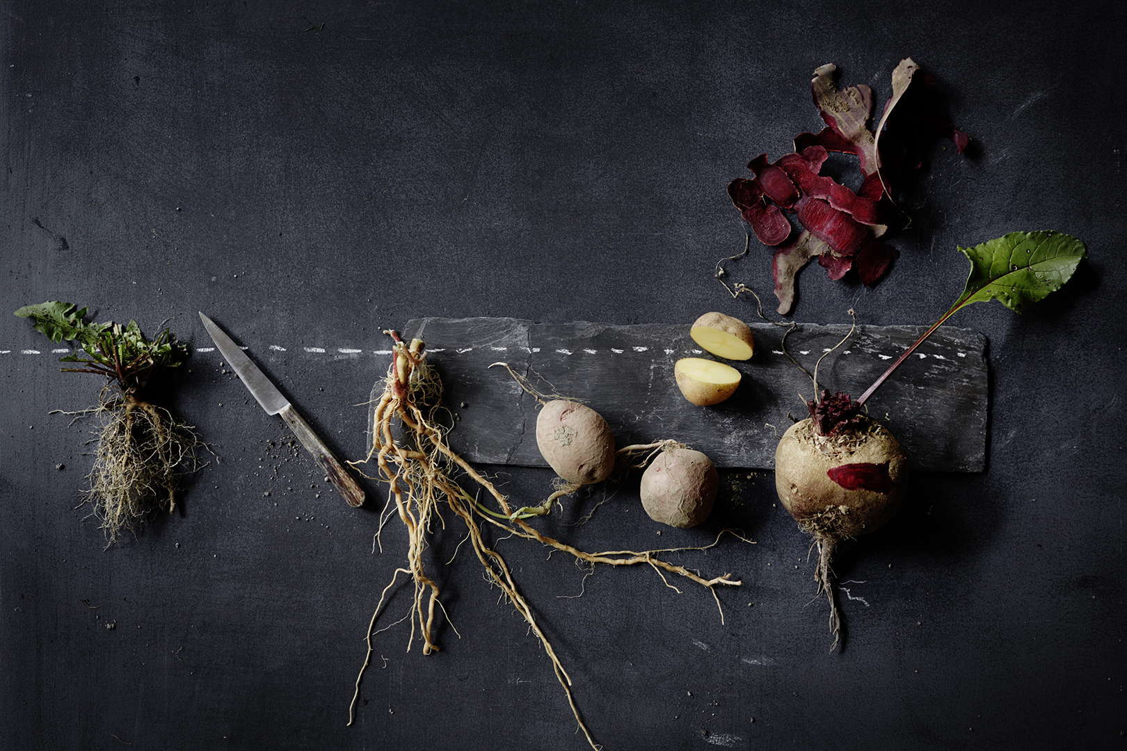 copyright Sylvan Müller - Leaf to Root