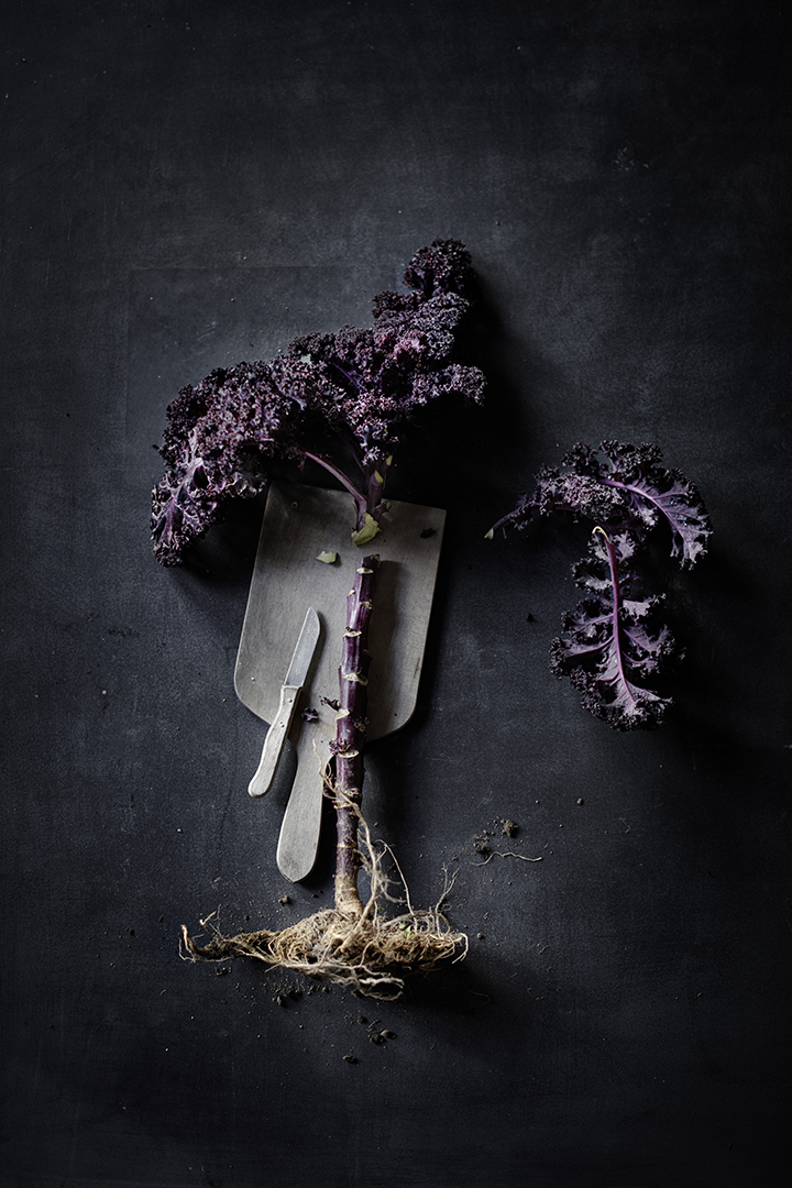 copyright Sylvan Müller -