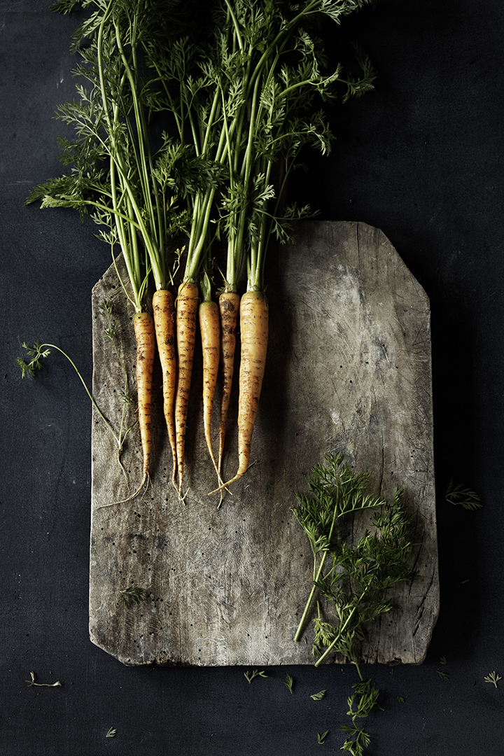 copyright Sylvan Müller - Leaf to Root