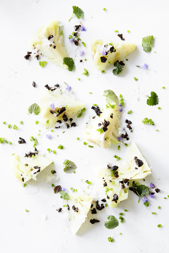 copyright Sylvan Müller - Leaf to Root