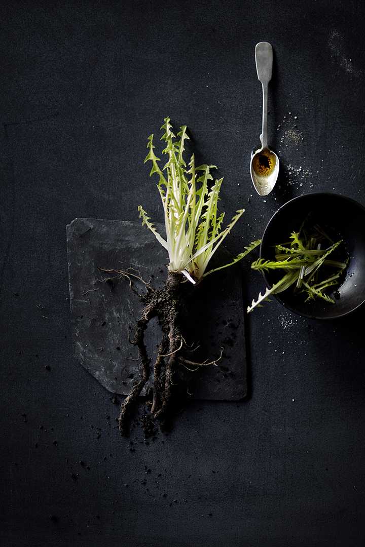 copyright Sylvan Müller - Leaf to Root