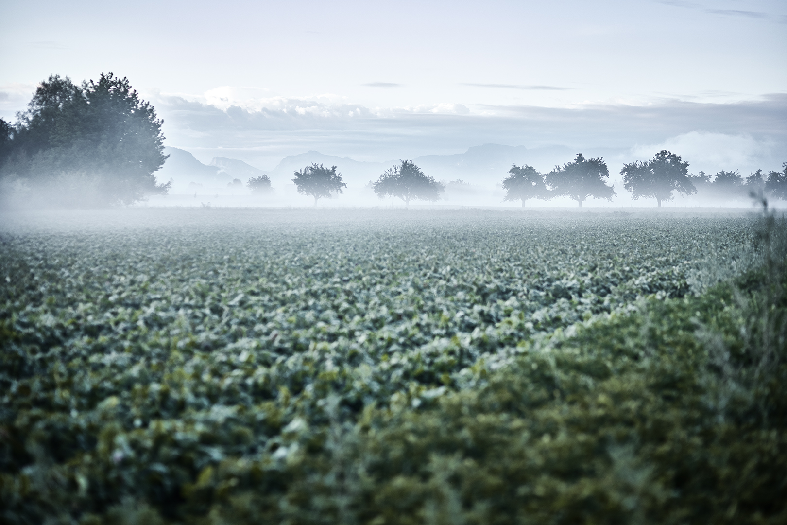 copyright Sylvan Müller - Naturaplan