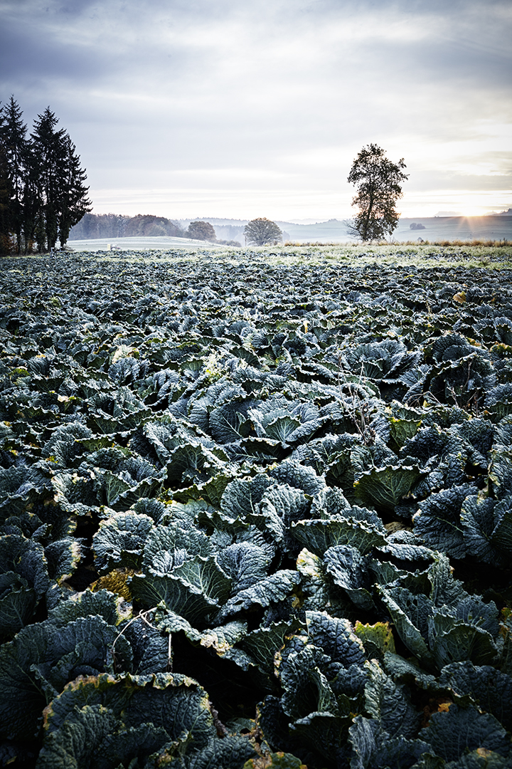 copyright Sylvan Müller - Naturaplan