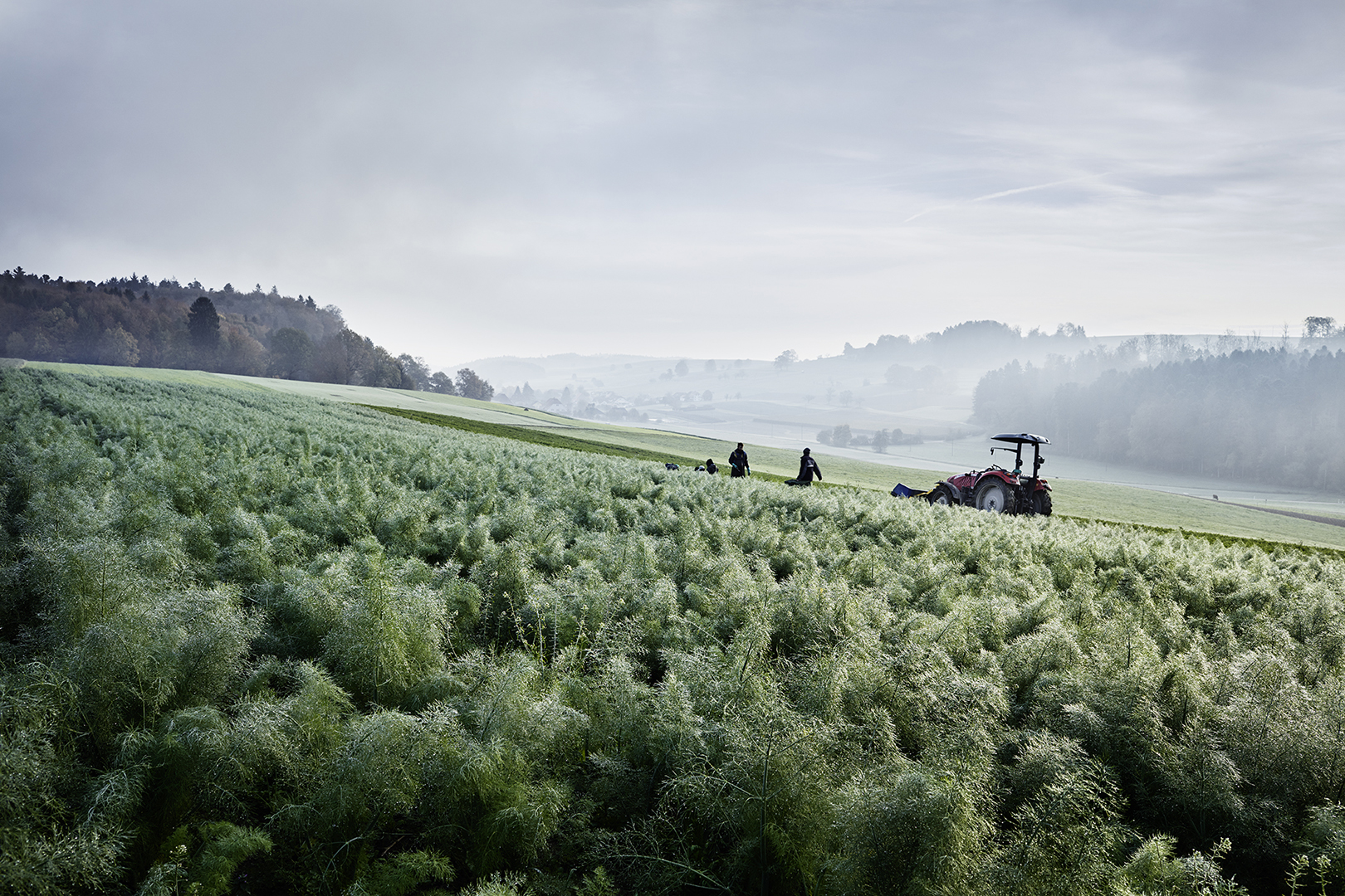 copyright Sylvan Müller - Naturaplan