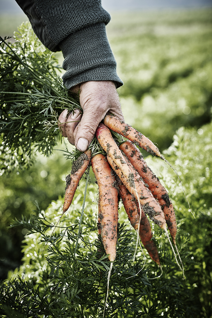 copyright Sylvan Müller - Naturaplan