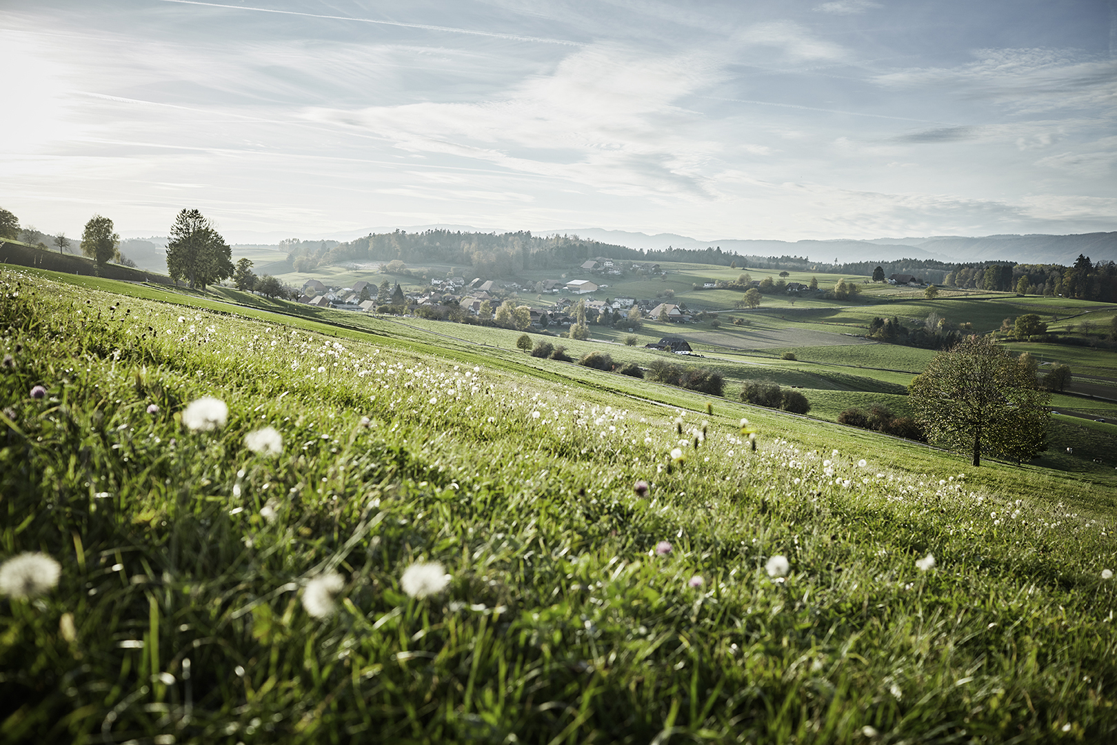 copyright Sylvan Müller - Naturaplan