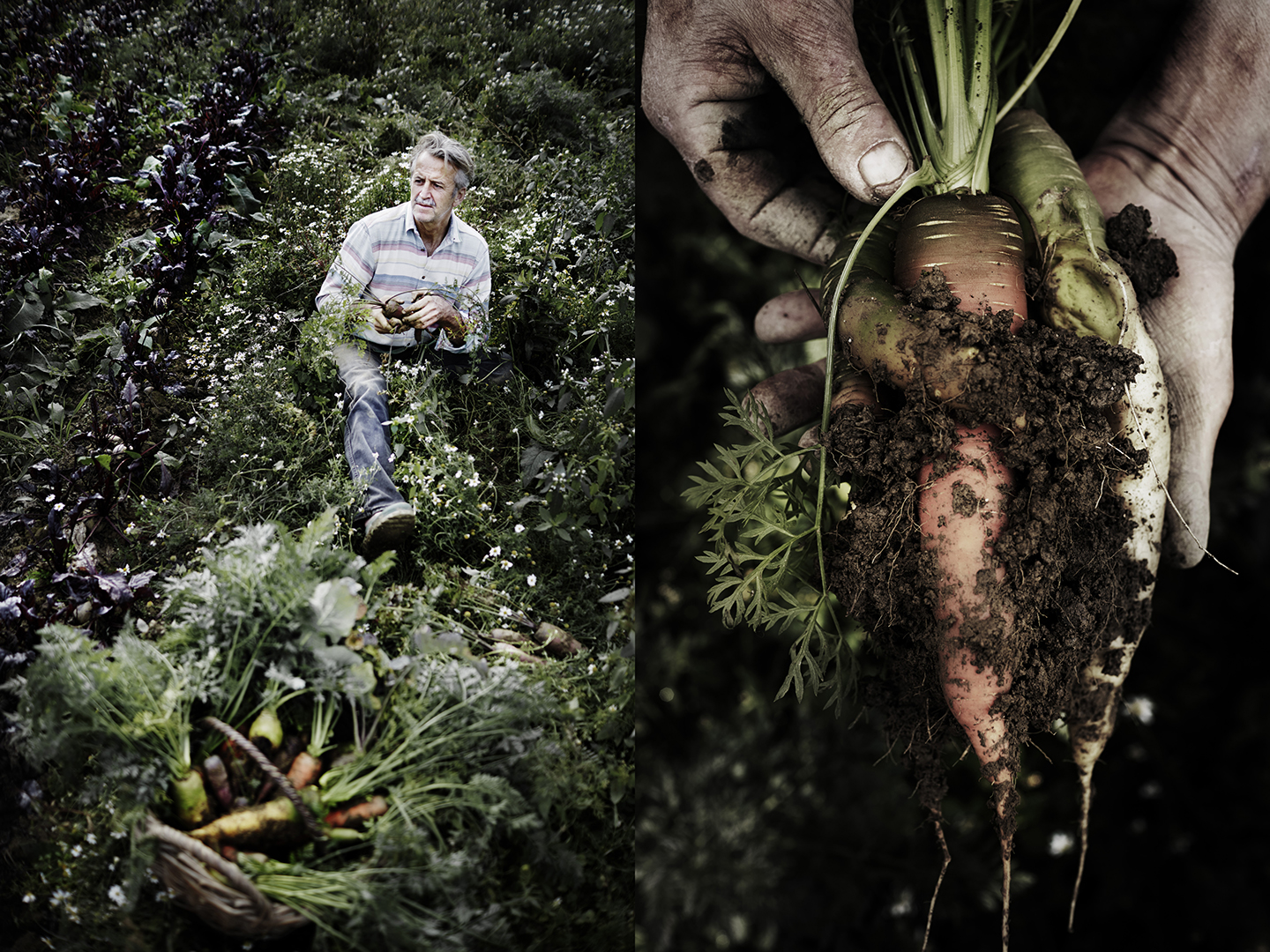 copyright Sylvan Müller - Johann Reisinger