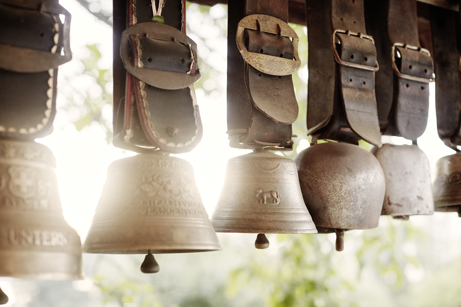 copyright Sylvan Müller - Ueli-Hof