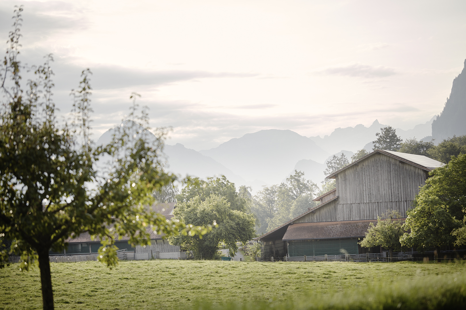 copyright Sylvan Müller - Ueli-Hof