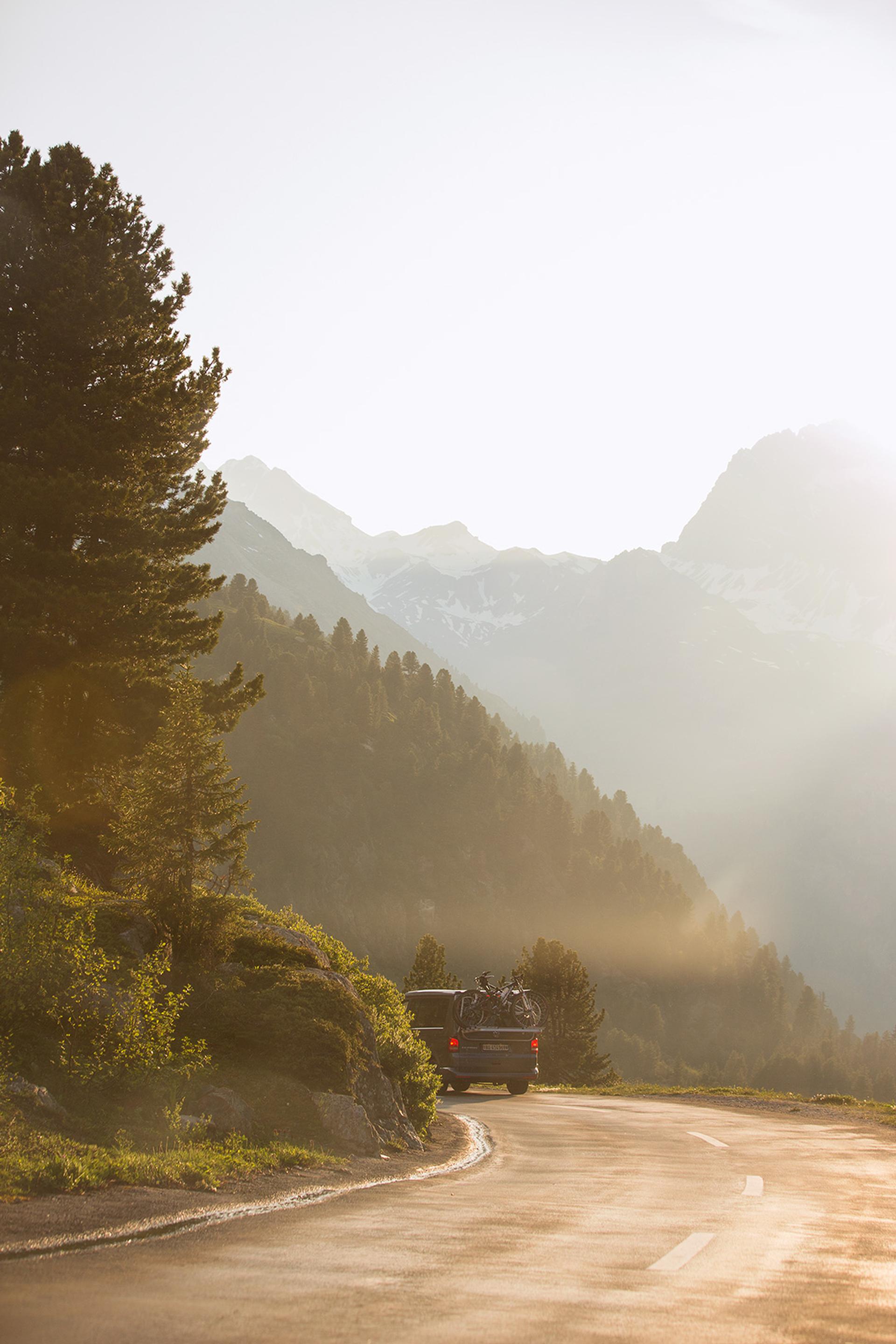 copyright Adrian & Alexis -