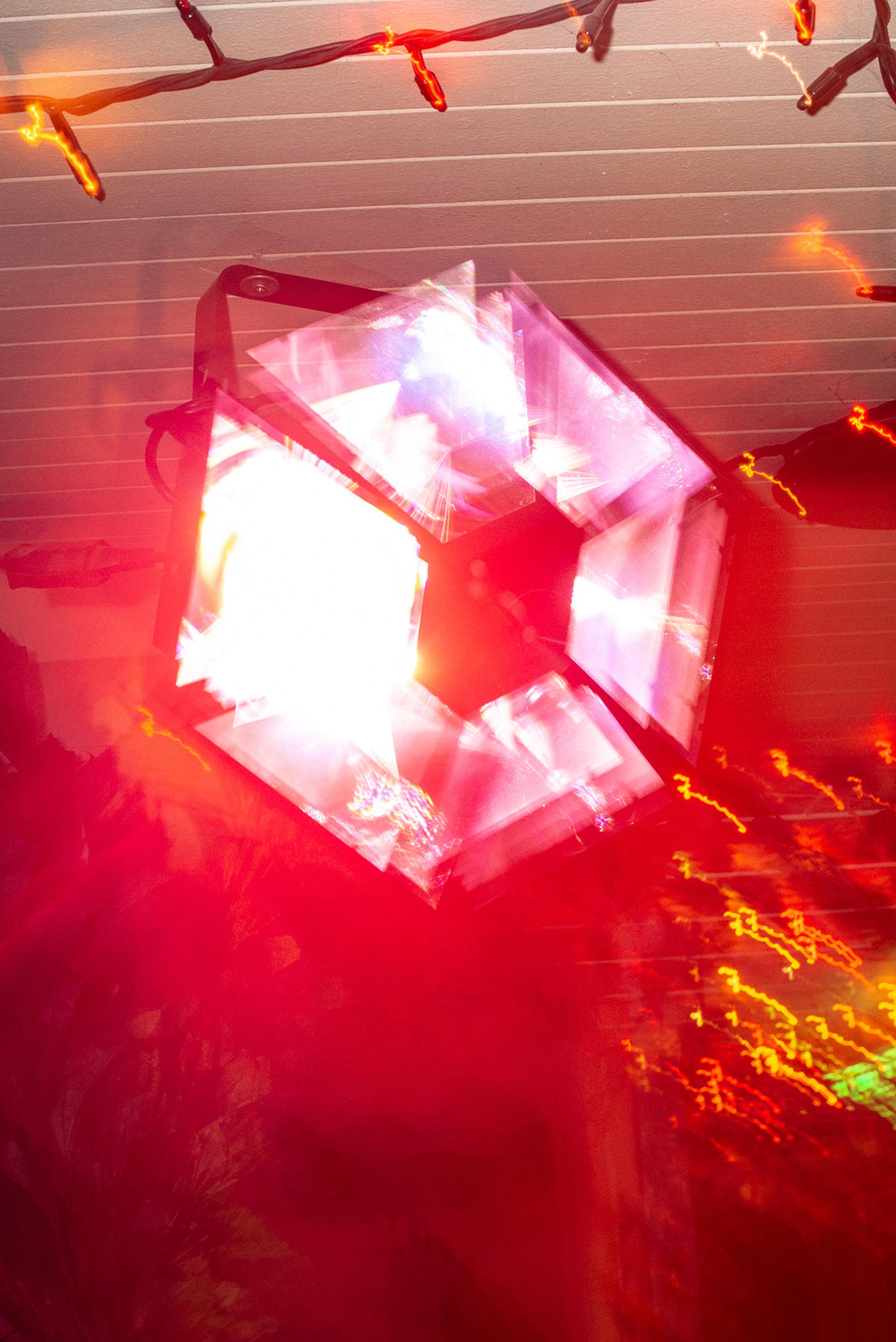 copyright Adrian & Alexis -