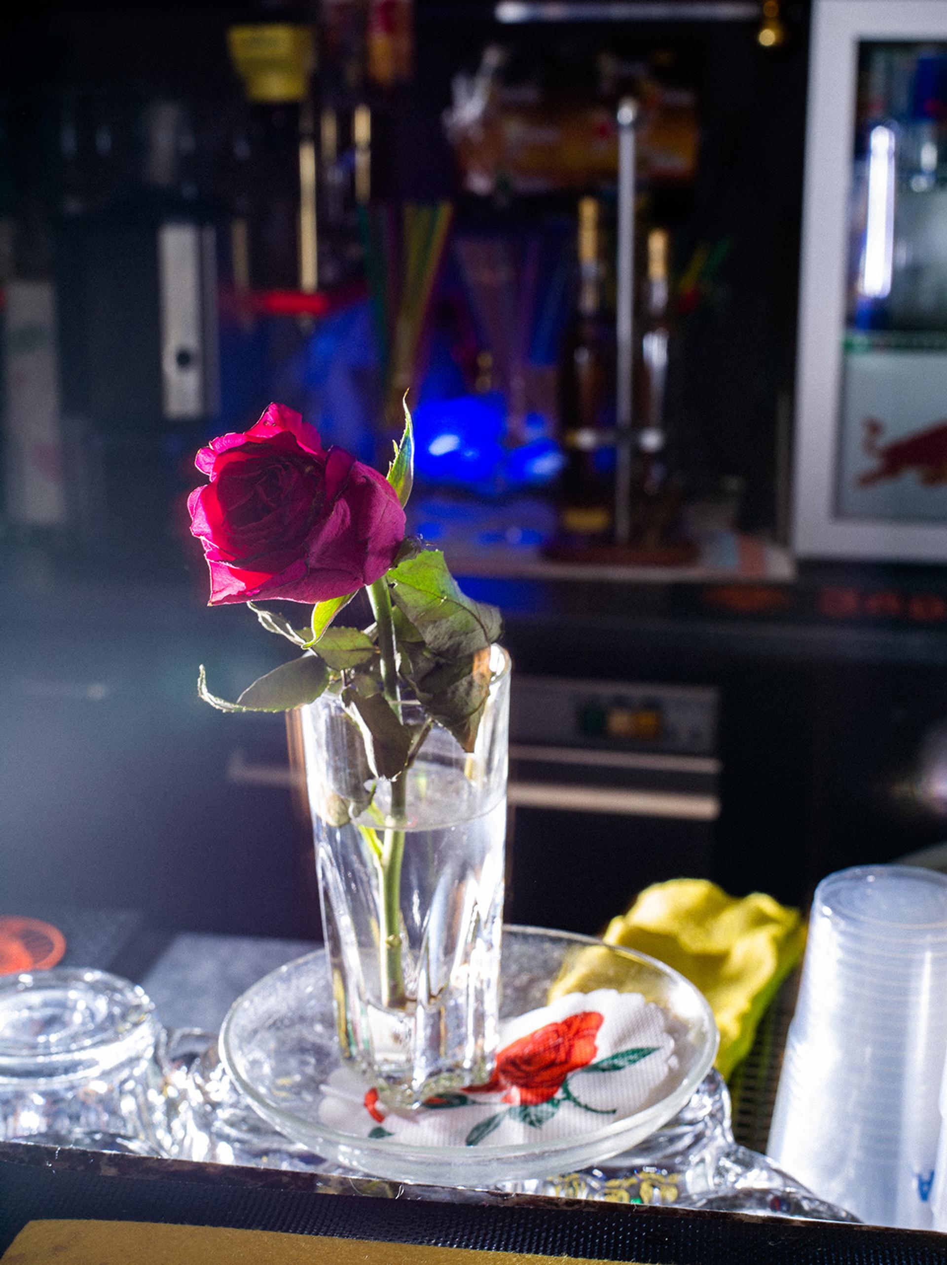 copyright Adrian & Alexis -