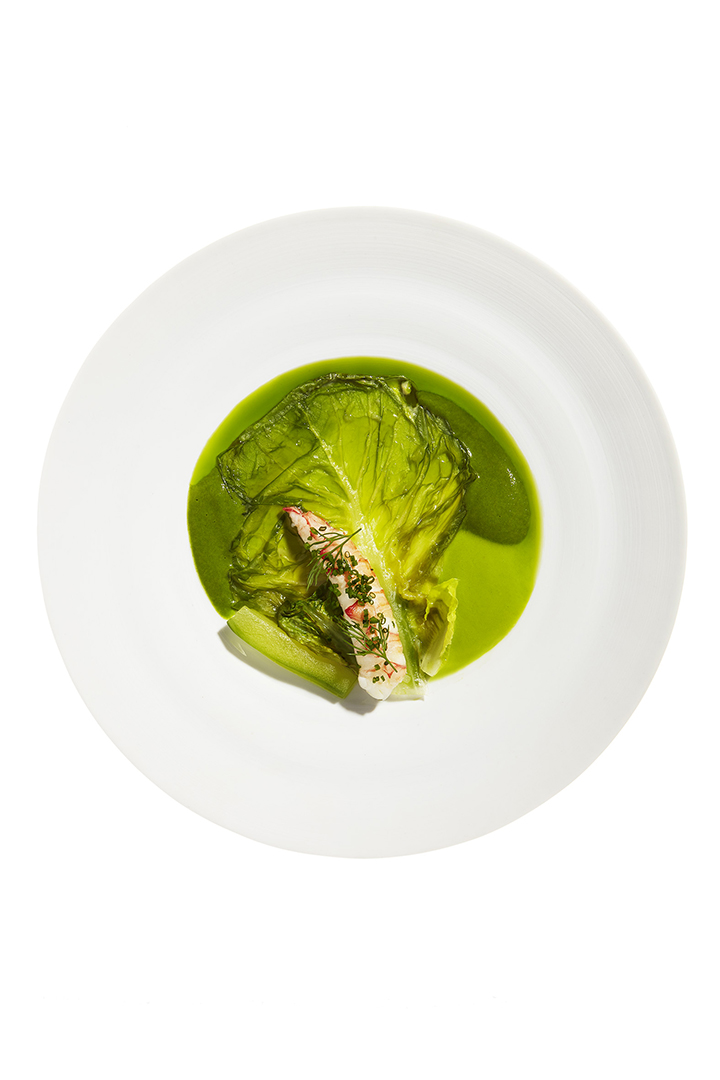 copyright Oriani & Origone -