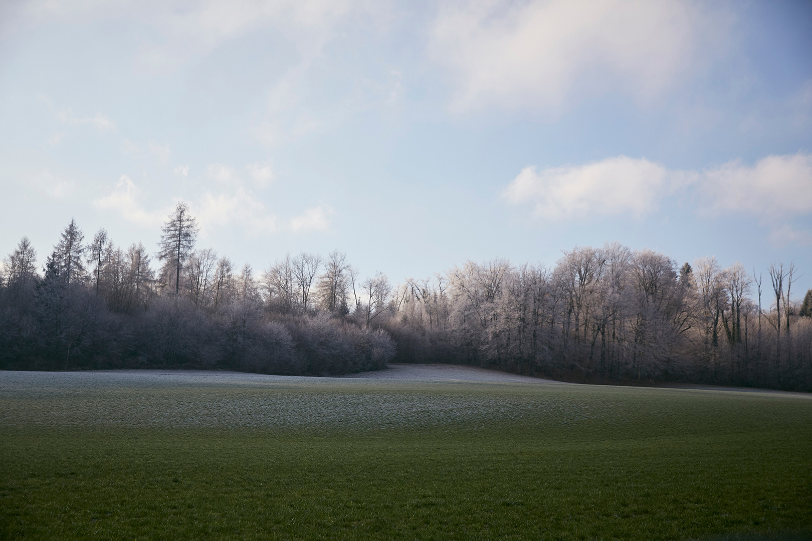 copyright Maurice Haas - Schweizer Literaturpreisträger 2019